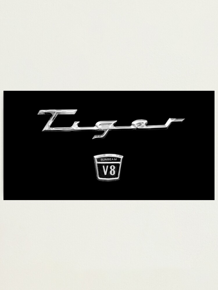Cartoon Tiger on Car. T-Shirt, PNG, SVG. - TemplateMonster