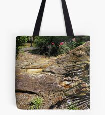 Partially Petrified Tote Bag
