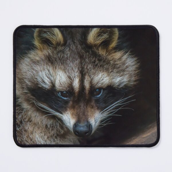 Item preview, Raccoon designed and sold by Elvira Draat.