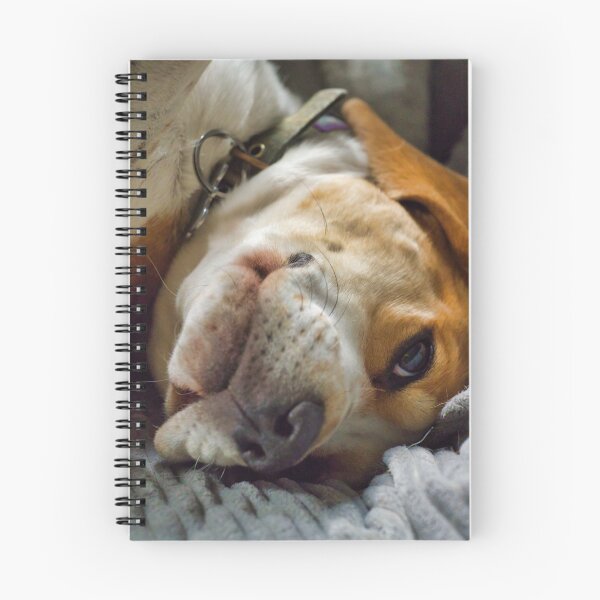 Item preview, Restful Beagle designed and sold by James Rutherford.