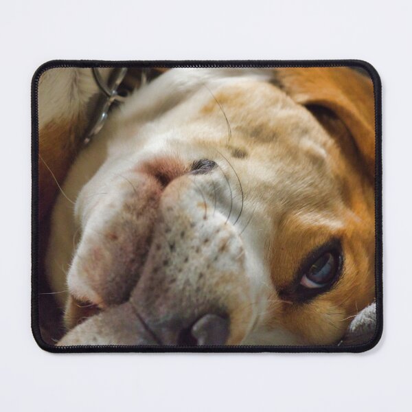 Item preview, Restful Beagle designed and sold by James Rutherford.