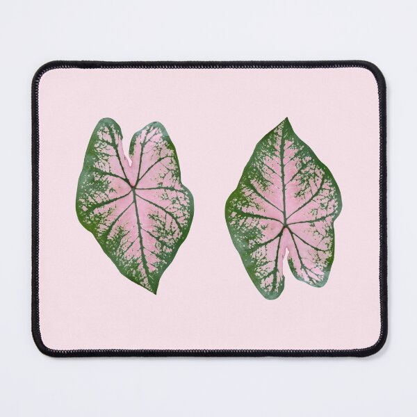 Item preview, Caladium Pink Splash designed and sold by mooneko.
