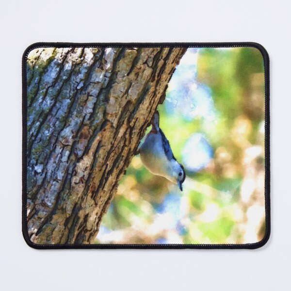 Item preview, White Breasted Nuthatch Watercolor Painting designed and sold by Zurickdesigns.