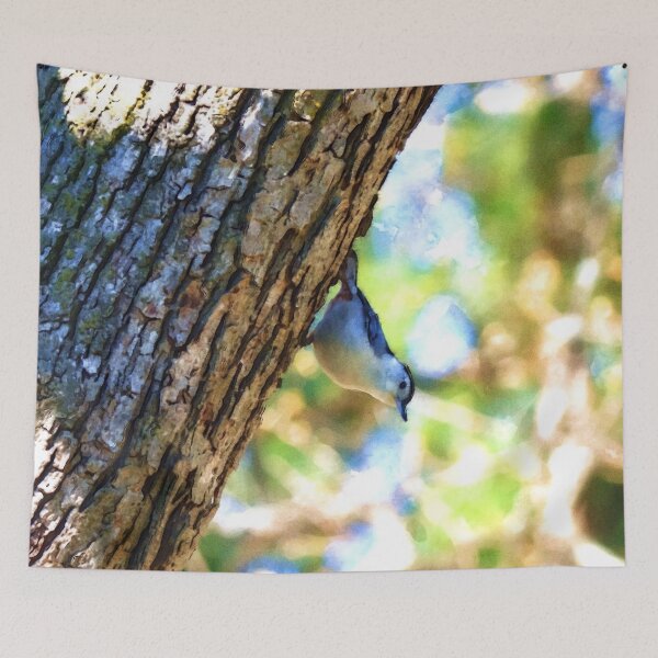 Item preview, White Breasted Nuthatch Watercolor Painting designed and sold by Zurickdesigns.