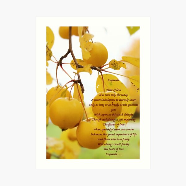 Exquisite Art Print