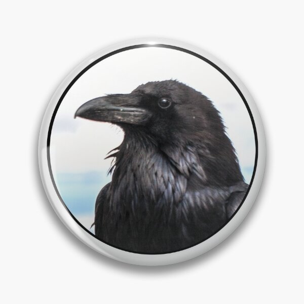 Item preview, Tweets From a Crow - Corvus Corone Discovers a Murder Most Foul... designed and sold by Spammabelle.