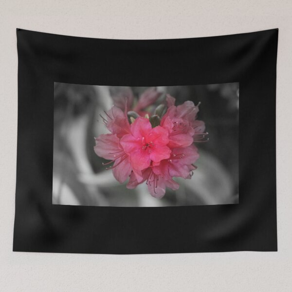 Item preview, Pink Azalea Bush Bloom Focal Black and White designed and sold by JariHawk.