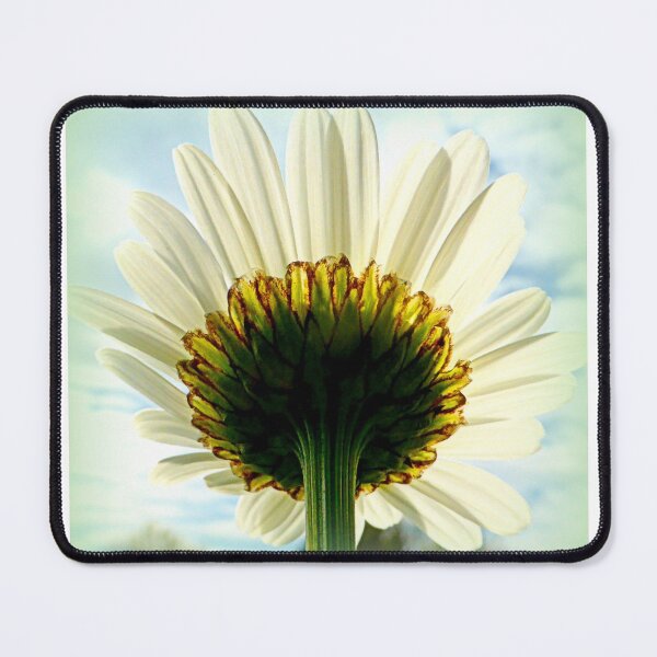 Item preview, Underneath my petals...Ox Eye Daisy  designed and sold by angel1.