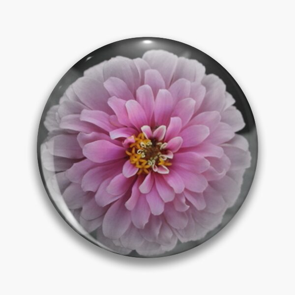 Artikelvorschau, Pink Zinna Flower Bloom Focal Schwarz-Weiß entworfen und verkauft von JariHawk.