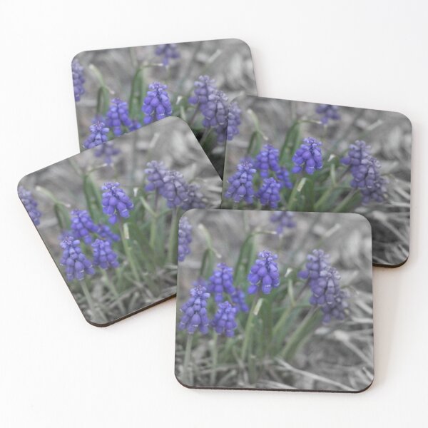Item preview, Purple Grape Hyacinths Blooms Focal Black and White designed and sold by JariHawk.