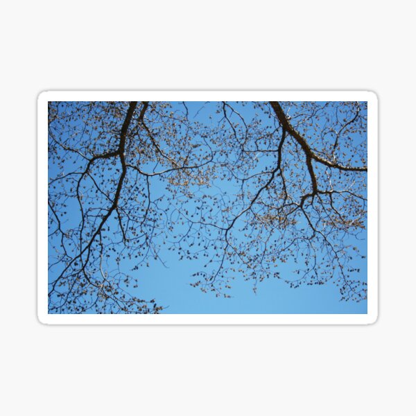 Vein-like Sticker