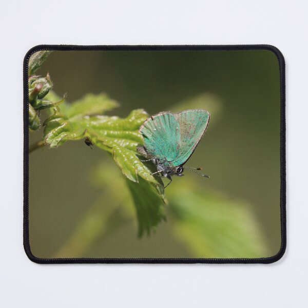 Item preview, Green hairstreak designed and sold by cuprum.