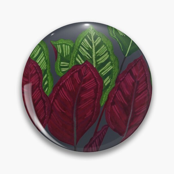 Item preview, Calathea houseplant - Midnight designed and sold by MitaDreamDesign.