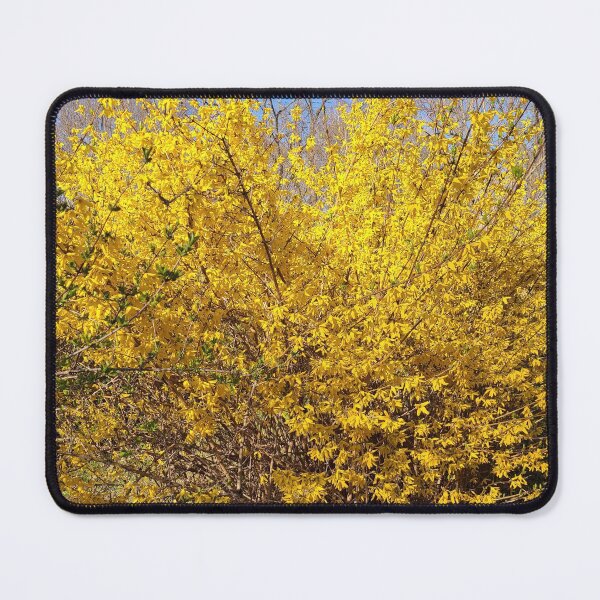Item preview, Fantastic Forsythia designed and sold by rvjames.