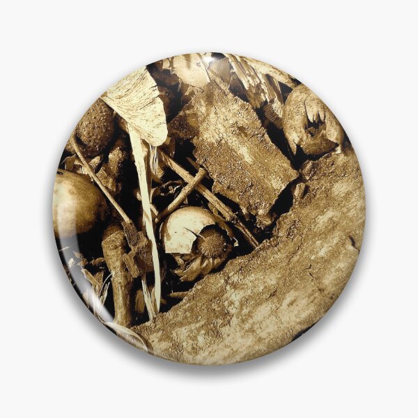 Item preview, Autumn forest floor with acorns and tree bark in sepia designed and sold by un-artiges.