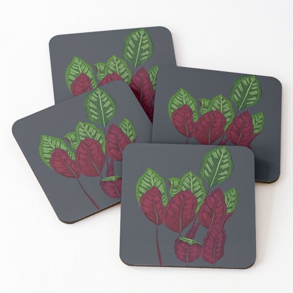 Item preview, Calathea houseplant - Midnight designed and sold by MitaDreamDesign.