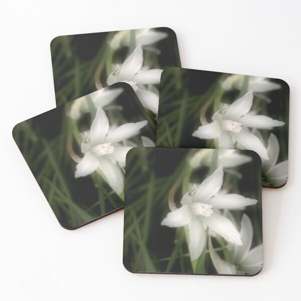Item preview, Star of Bethlehem White Flower Bloom  designed and sold by JariHawk.