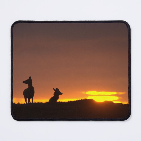 Item preview, Red Deer and the Rising Sun designed and sold by Macrae images.