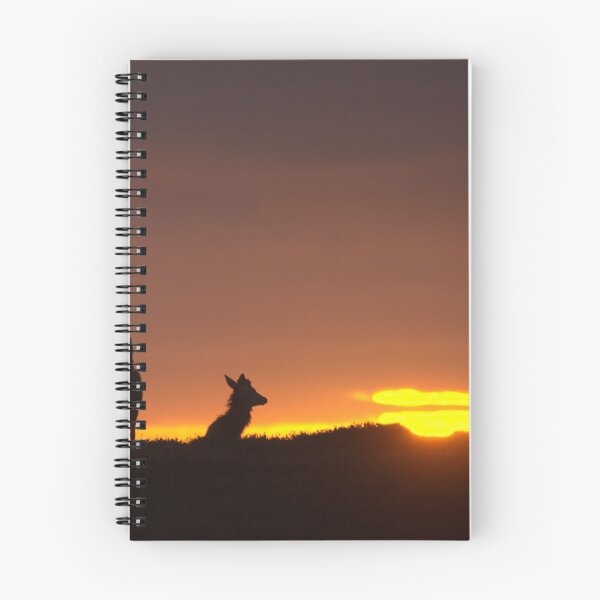 Item preview, Red Deer and the Rising Sun designed and sold by Macrae images.