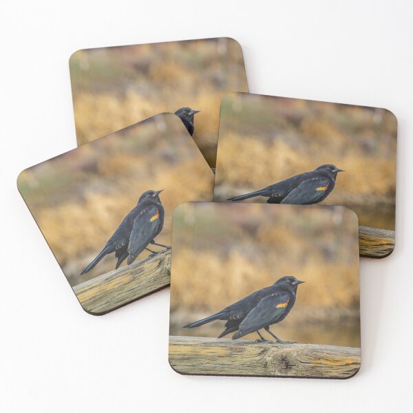 Item preview, Red Winged Blackbird designed and sold by Mullwell Photography.