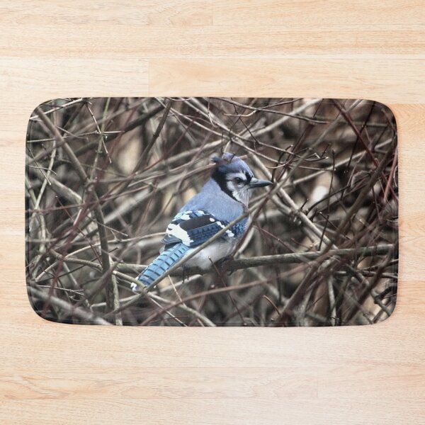 Item preview, Handsome Male Blue Jay Bird in the Winter designed and sold by JariHawk.