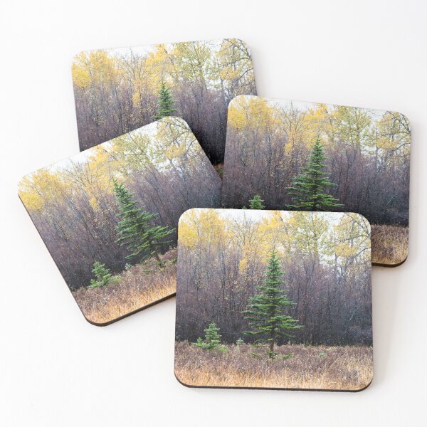 Item preview, Urban park scenery. designed and sold by CanadianWild418.
