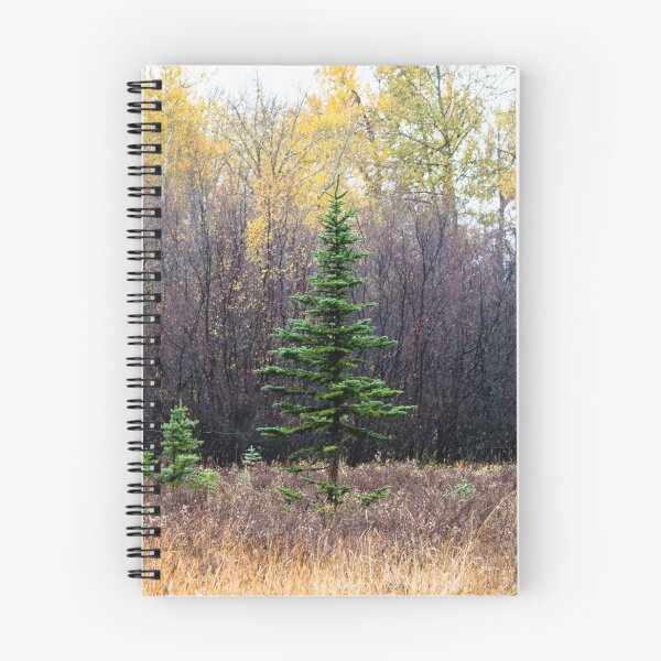 Item preview, Urban park scenery. designed and sold by CanadianWild418.