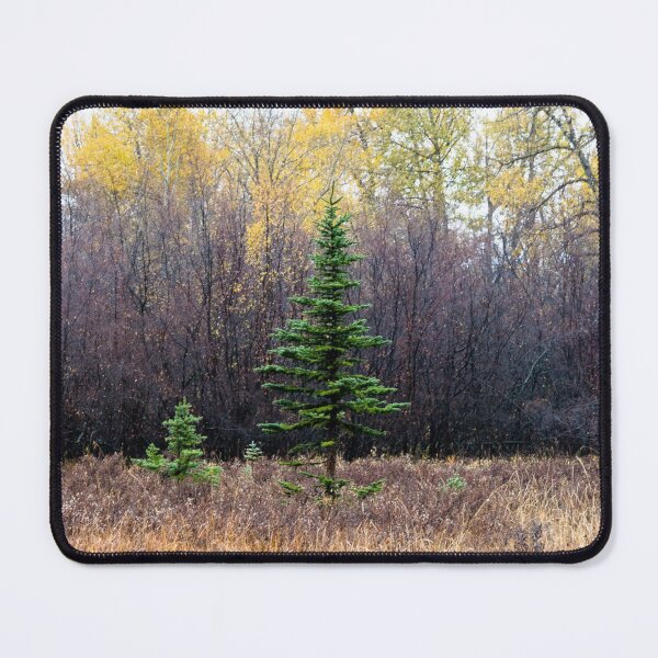 Item preview, Urban park scenery. designed and sold by CanadianWild418.