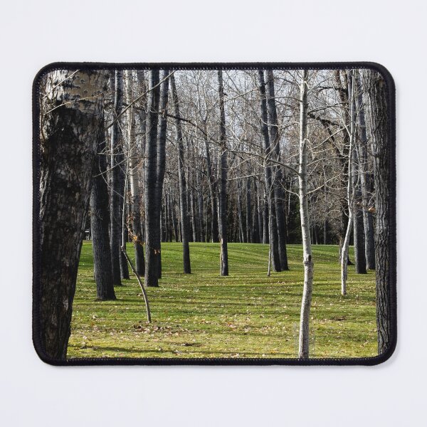 Item preview, Park scenery designed and sold by CanadianWild418.