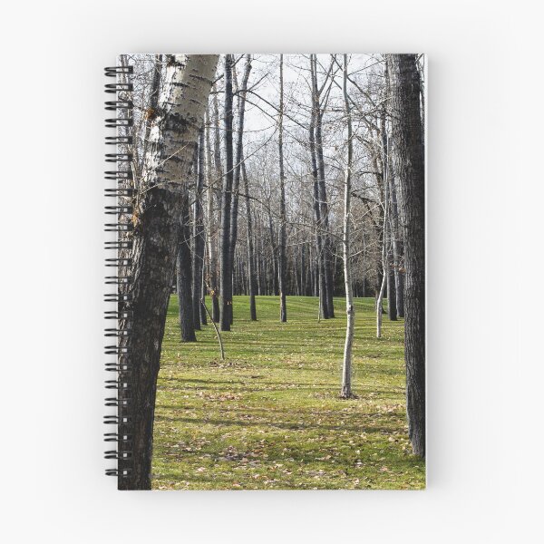 Item preview, Park scenery designed and sold by CanadianWild418.