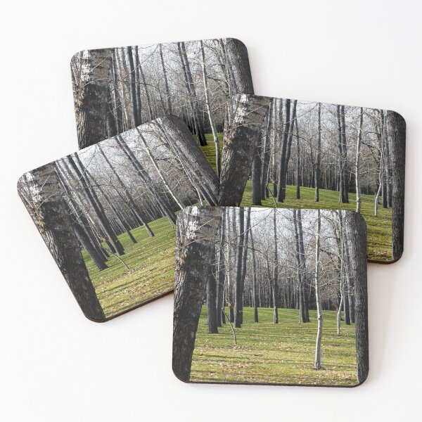 Item preview, Park scenery designed and sold by CanadianWild418.