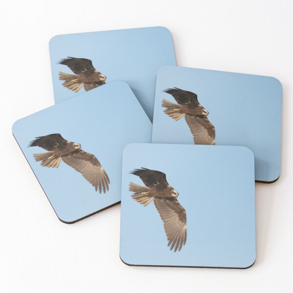 Item preview, Marsh Harrier in flight designed and sold by AndrewJonesFoto.