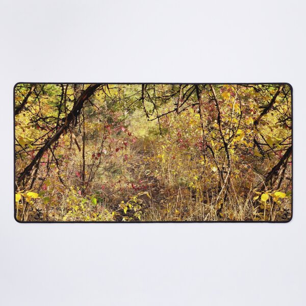 Item preview, Autumn Path designed and sold by Djjin66.