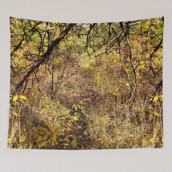 Item preview, Autumn Path designed and sold by Djjin66.