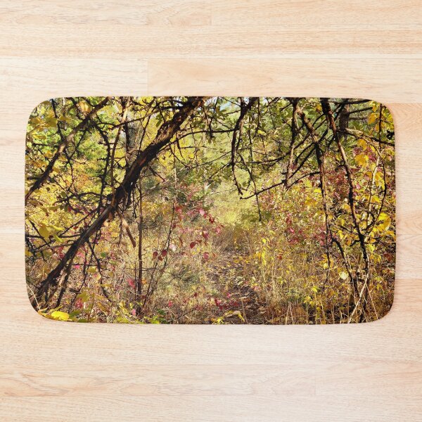 Item preview, Autumn Path designed and sold by Djjin66.