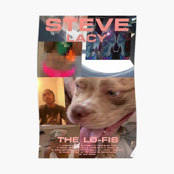 The Lo-Fis - Steve Lacy Album Poster