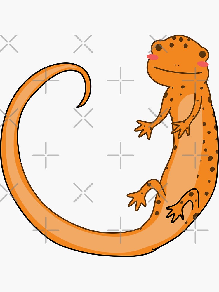 "Cute Happy Newt Salamander Smiling Drawing Illustration" Sticker for