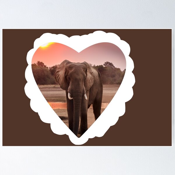 Elefante con capa de adorno símbolo de buena suerte fortuna y riqueza  mamífero animal salvaje