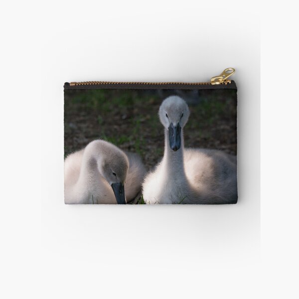 Item preview, Cygnets resting on the grass banks designed and sold by RumRagephotos.