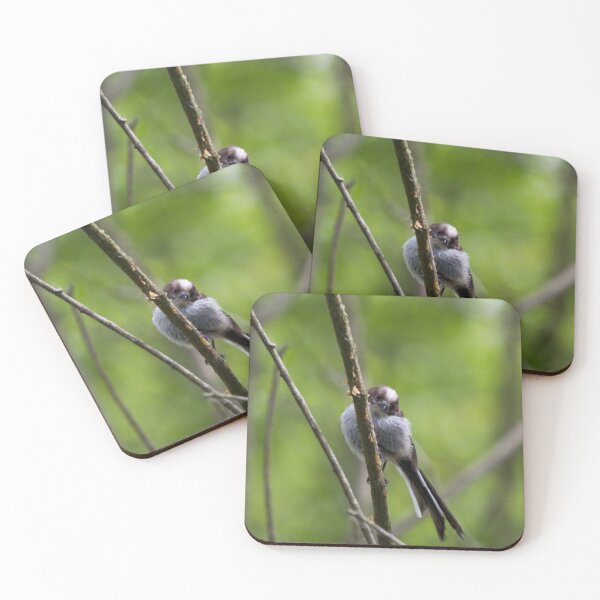 Item preview, A Long Tailed Tit perches on a branch designed and sold by RumRagephotos.