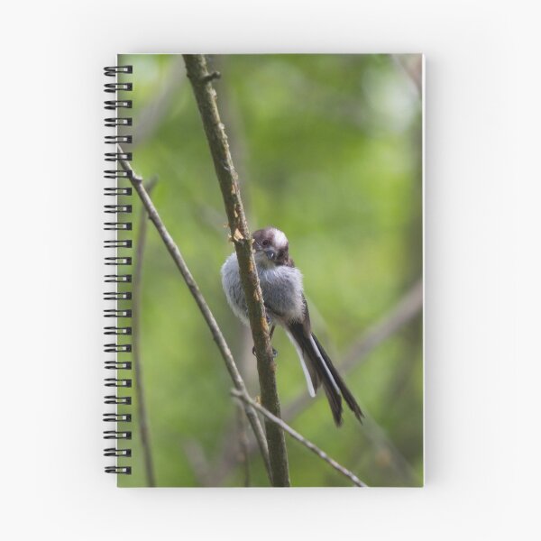 Item preview, A Long Tailed Tit perches on a branch designed and sold by RumRagephotos.