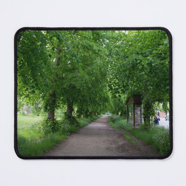 Item preview, Public footpath on Wimbledon Common lined by trees designed and sold by RumRagephotos.