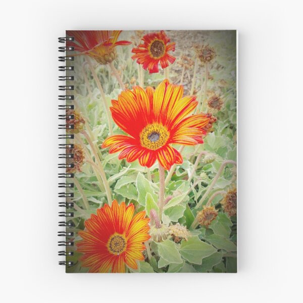 Artikelvorschau, Orangene Blume entworfen und verkauft von Spicycloud.