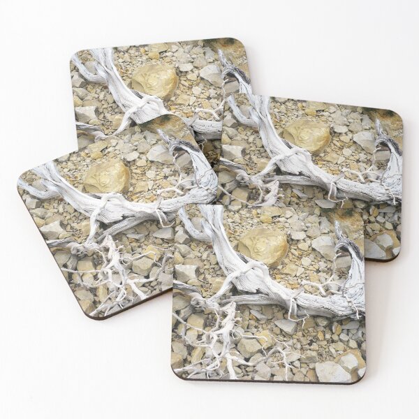 Item preview, Sun-bleached root on rock designed and sold by un-artiges.