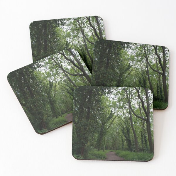 Item preview, A forest footpath on Wimbledon Common designed and sold by RumRagephotos.