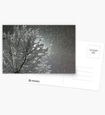 Snowy Night Lights Postcards
