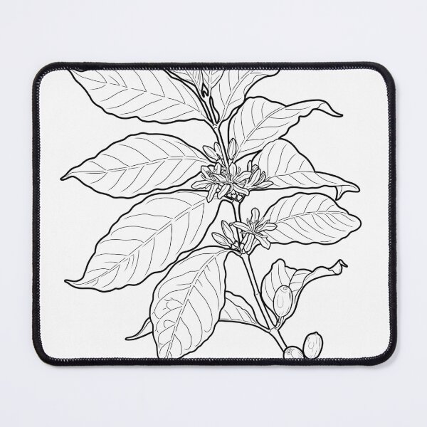 Item preview, Coffee Plant designed and sold by CJOrazi.