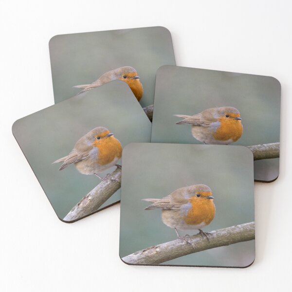 Item preview, British Red Robin perches on a branch designed and sold by RumRagephotos.