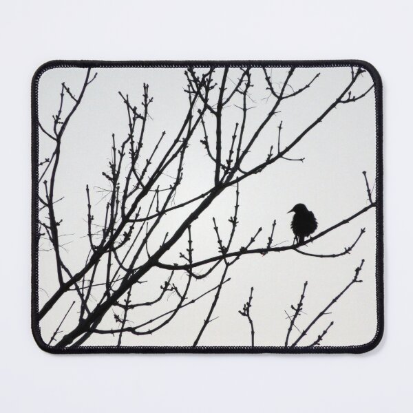 Item preview, Blackbird in the Branches Maine designed and sold by SillaHoekstra.