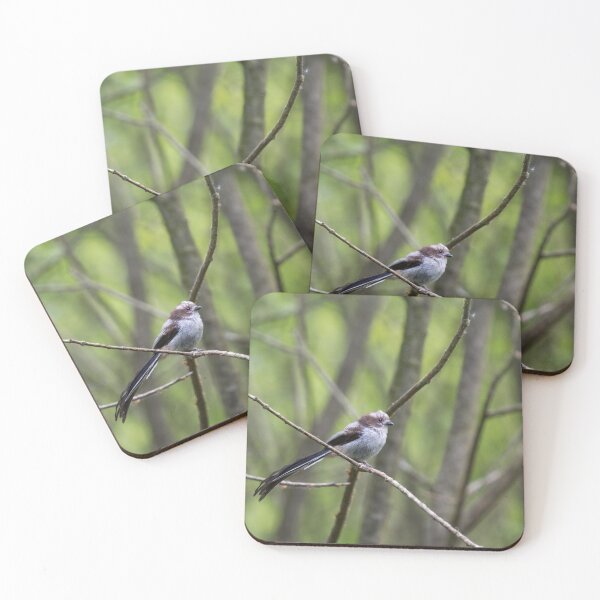 Item preview, A Long Tailed Tit perches on a branch designed and sold by RumRagephotos.